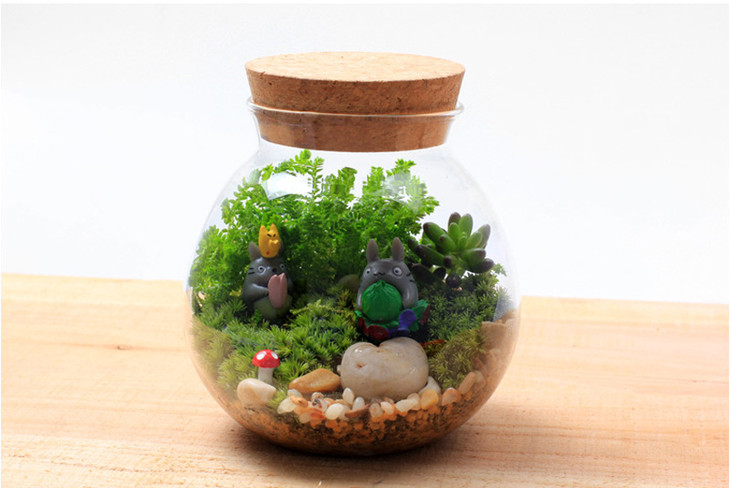 家居摆件茗轩玻璃瓶苔藓瓶多肉瓶耐热玻璃软木塞密封罐生态瓶
