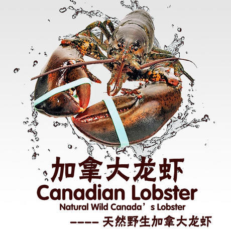 节日特价！2只装加拿大野生大龙虾 商品图0