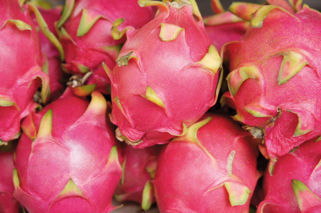 发斯蒂芬斯蒂芬