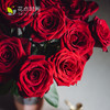 520定制进口玫瑰花束 | 「你」精选肯尼亚进口玫瑰，浓情红，心动粉，精致一捧，走心却不浮夸 商品缩略图3