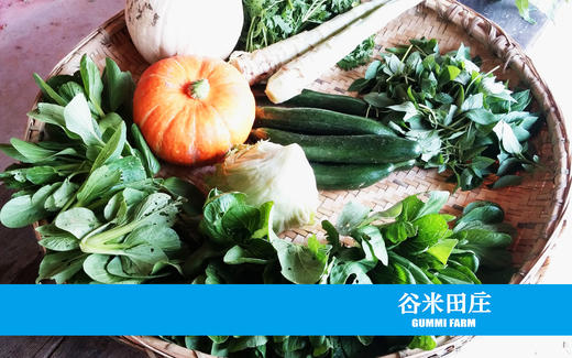 年卡时令套装菜箱 商品图1