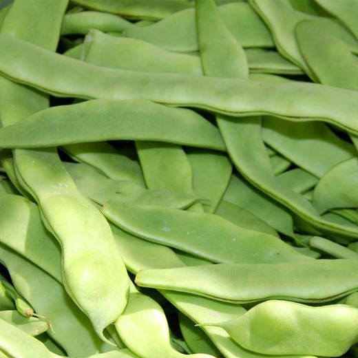 京津冀满百包邮 有机蔬菜 扁豆角 250g 欧盟认证现摘现发 商品图2