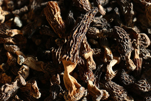 雪山野生羊肚菌（干货） 商品图4