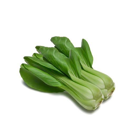 全国发货满额包邮 新鲜有机蔬菜 小油菜250g 欧盟认证彩虹雨农场 商品图2