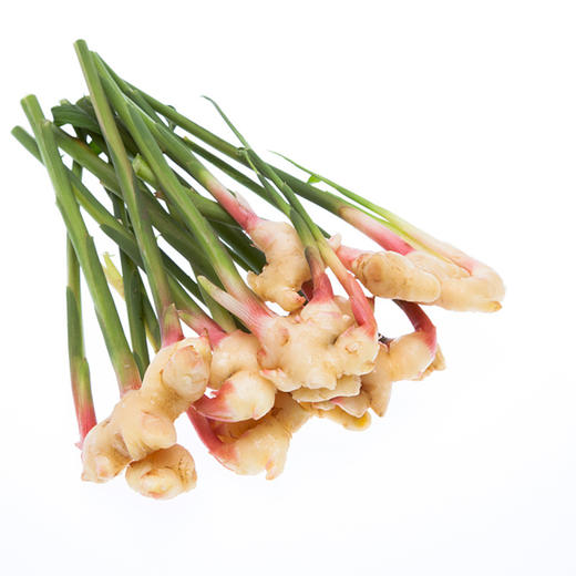 彩虹雨 新鲜青菜有机蔬菜 生姜500g 小黄姜姜味十足全国发货满额包邮 商品图7