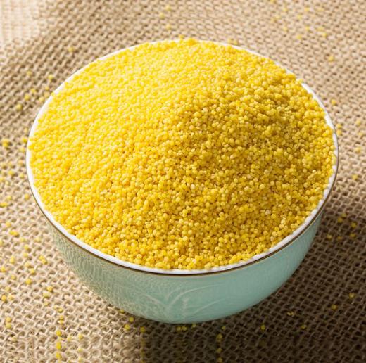 【食品酒水】优质新鲜 黄小米450g真空包装五谷杂粮 商品图1