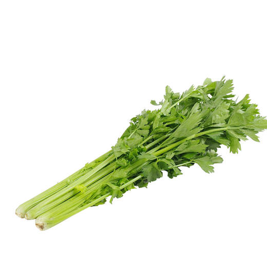 新鲜有机蔬菜小颗西芹青芹菜250g京津冀满百包邮