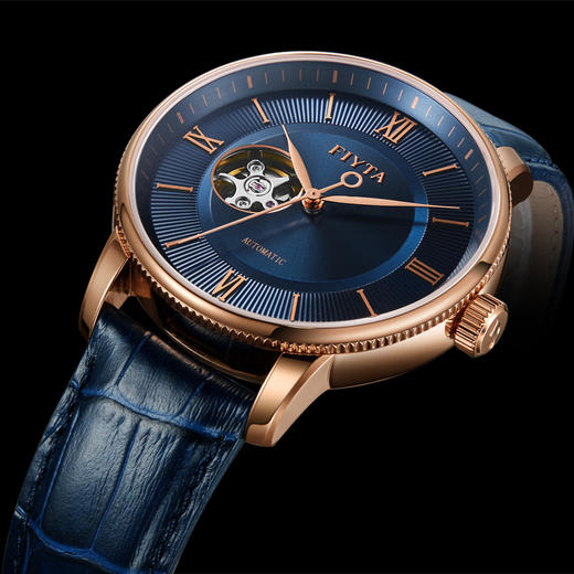 飞亚达摄影师系列机械男表dga860013.pll