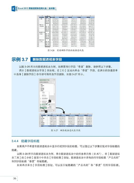 《Excel 2013数据透视表应用大全（全彩版）》 商品图3