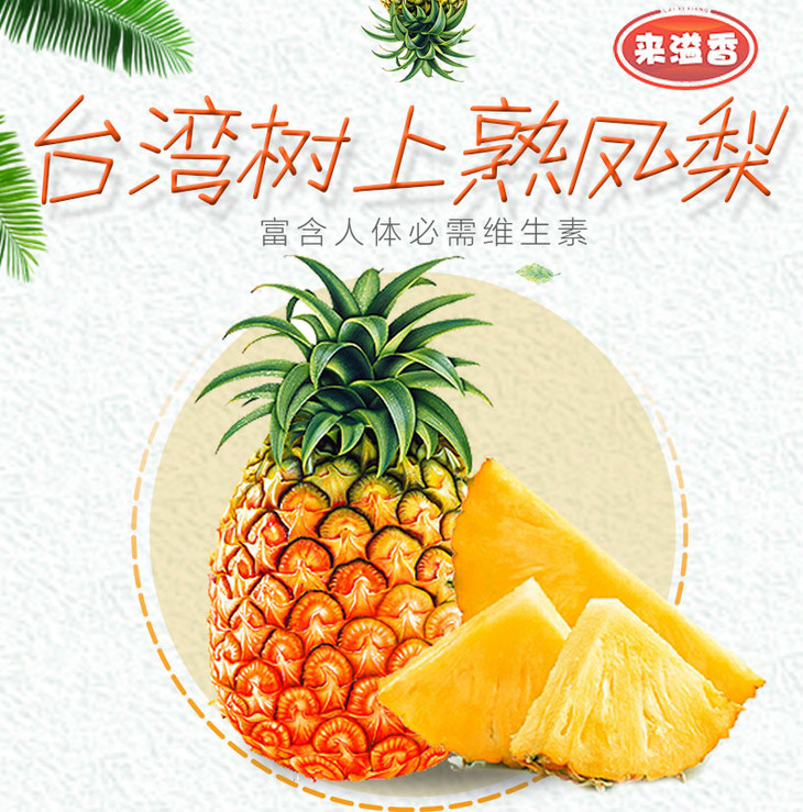 天地人凤梨99元斤