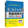 《Excel 2013数据透视表应用大全（全彩版）》 商品缩略图0