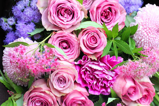 同城配送 ——【紫玫花束】