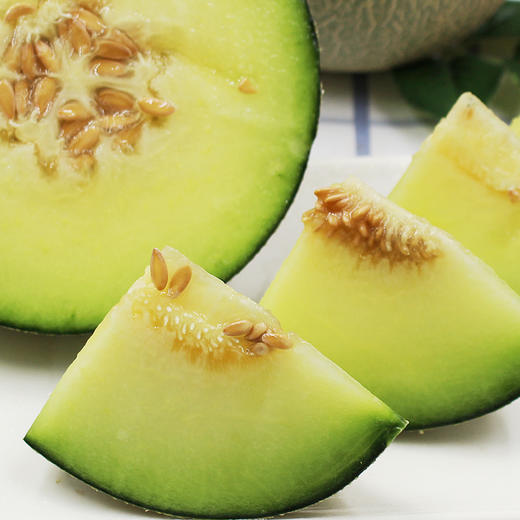 山东海阳网纹蜜瓜455斤