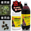 【乳酸活菌王】1000毫升送粉剂100g，高浓缩活菌微生态制剂 （欧耐德） 商品缩略图0