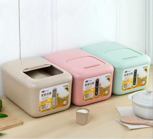 【收纳桶】家用装米桶防虫防潮密封储米罐加厚杂粮米面粉箱盒收纳桶 商品图2