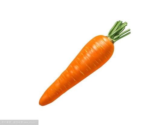 【百汇到家】胡萝卜 商品图3