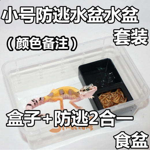 Reptile Structure-爬结构 爬虫爬宠蜘蛛守宫蜥蜴蝎子蜈蚣角蛙龟蜗牛饲养盒宠物蛇饲养箱包邮 商品图14