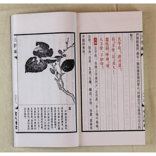 书香传家系列《三字经》（全一册） 商品图2