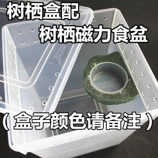 Reptile Structure-爬结构 爬虫爬宠蜘蛛守宫蜥蜴蝎子蜈蚣角蛙龟蜗牛饲养盒宠物蛇饲养箱包邮 商品图3