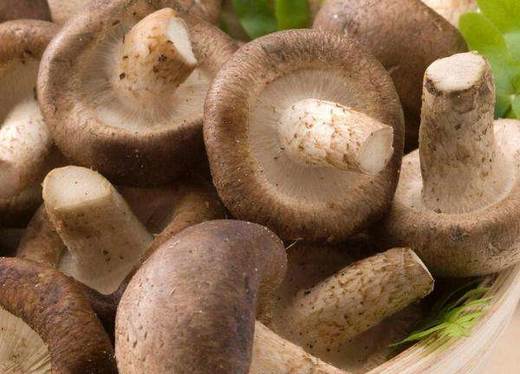 【百汇到家】香菇 商品图0