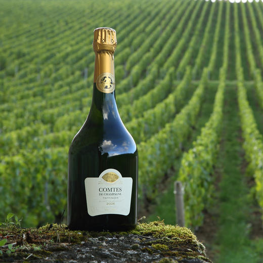 泰亭哲伯爵白中白香槟taittingercomtesblancblancchampagne