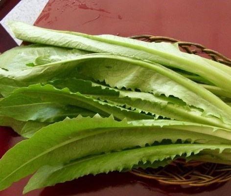 【百汇到家】油麦菜 商品图1