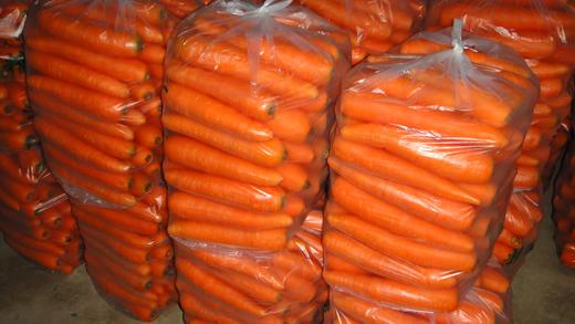 【百汇到家】胡萝卜 商品图2