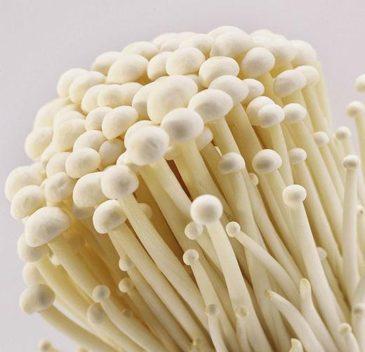 【百汇到家】散金针菇 商品图0