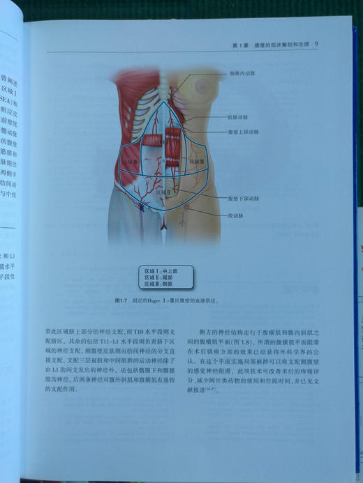 现代疝外科学：理论与技术 商品图3