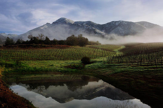 美国肯道杰克逊酿酒师珍藏黑皮诺红葡萄酒2018Kendall-Jackson Vintner's Reserve Pinot Noir, California, USA 商品图1