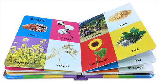 英文原版 First 100 Farm Words宝宝农场词汇100个儿童启蒙纸板书 商品图3
