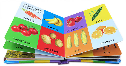 英文原版 First 100 Farm Words宝宝农场词汇100个儿童启蒙纸板书 商品图1