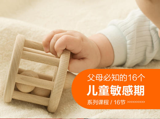 5. 关注细小事物的敏感期 商品图0