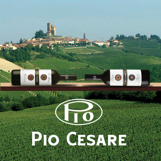 意大利皮欧巴楼洛红葡萄酒 Pio Cesare Barolo 商品图3