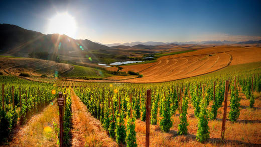 南非安东尼鲁伯特梅洛红葡萄酒Anthonij Rupert Merlot, Franschhoek Valley, South Africa 商品图2
