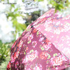 【为思礼】MiNi伞 雨伞中的iPhoneX 超轻凉感5折太阳伞 纯手工打造 日本双防晴雨两用伞 夏日降暑 创意礼物 商品缩略图5