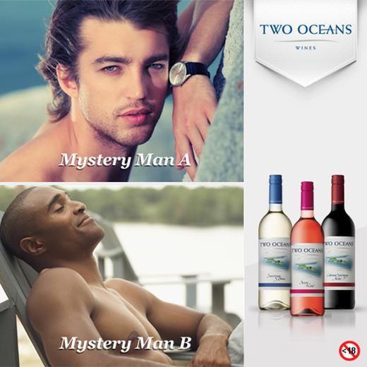 南非双洋西开普清爽果香白葡萄酒Two Oceans Fresh & Fruity White, Western Cape, South Africa 商品图1