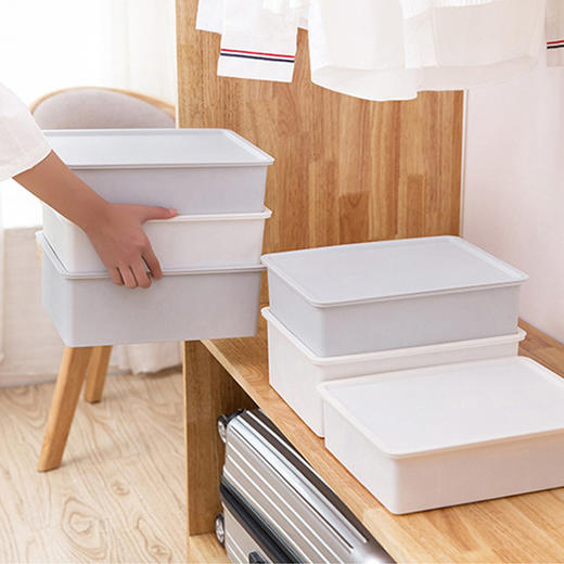 内衣收纳盒十格 商品图3