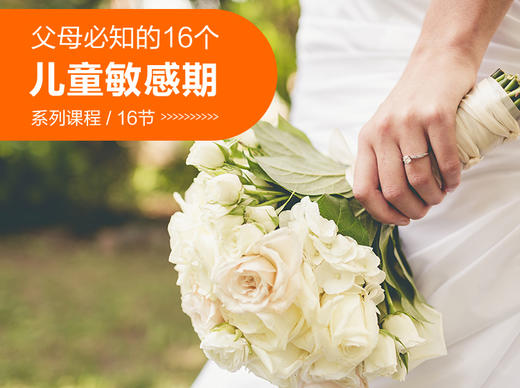 12. 婚姻敏感期 商品图0