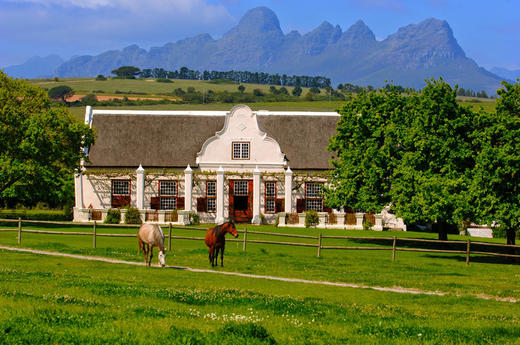 南非美蕾卢比刚罗宾康红葡萄酒 Meerlust Rubicon Stellenbosch 商品图3