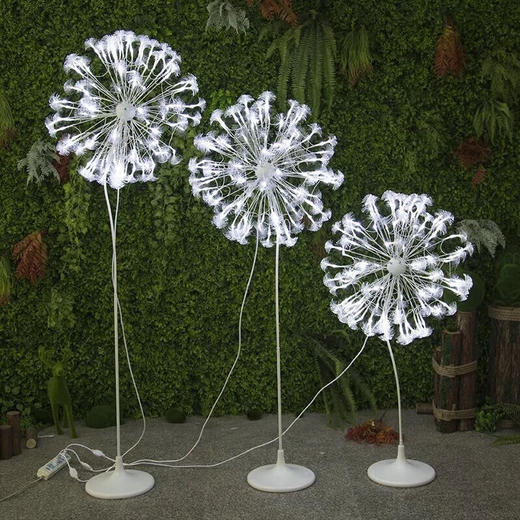 蒲公英路引【运费自理】 商品图0