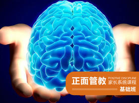 4. 了解掌中大脑