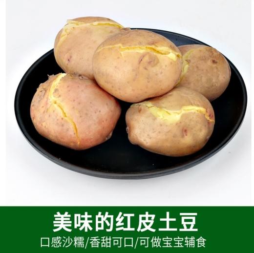 云南红皮土豆 3斤（可原产地发货） 商品图8
