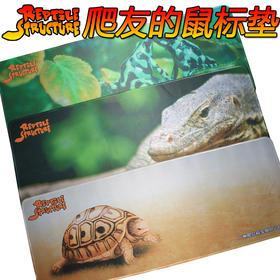 Reptile Structure-爬结构 爬虫鼠标垫 陆龟鼠标垫 蜥蜴鼠标垫 键盘垫特大鼠标垫80*30cm垫材