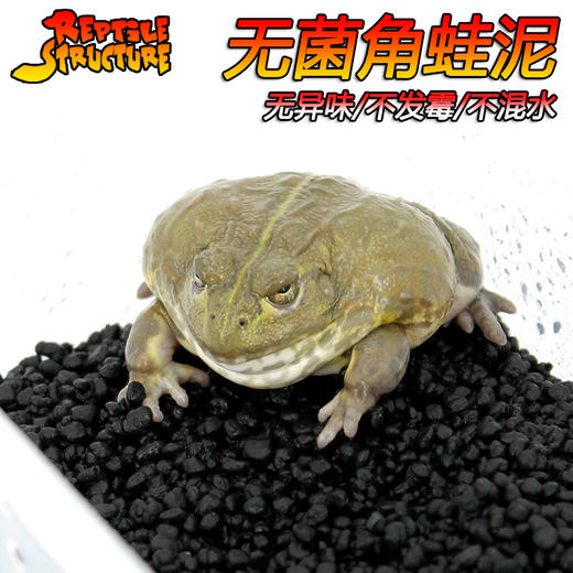 Reptile Structure-爬结构 角蛙泥角蛙垫材非牛底材两栖蝾螈雨林缸黑色底泥爬虫垫材蛙类垫材 商品图2