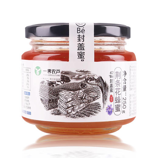 【零添加，非浓缩】42°Bé荆条花封盖蜂蜜 产地张家界 全国包邮 商品图0