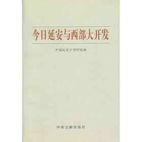 今日延安与西部大开发