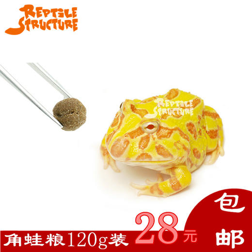 Reptile Structure-爬结构 角蛙粮非牛小丑宠物蛙蝾螈寄居蟹两栖饲料包邮 商品图3