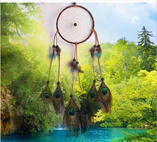 【家居摆件】熏蒸孔雀毛 捕梦网家居装饰挂件 商品图3