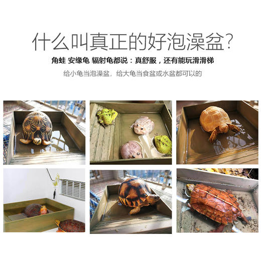 Reptile Structure-爬结构  陆龟泡澡盆乌龟蜥蜴爬虫阶梯式多功能水盆苏卡达黄缘超大号泡水盆 商品图4